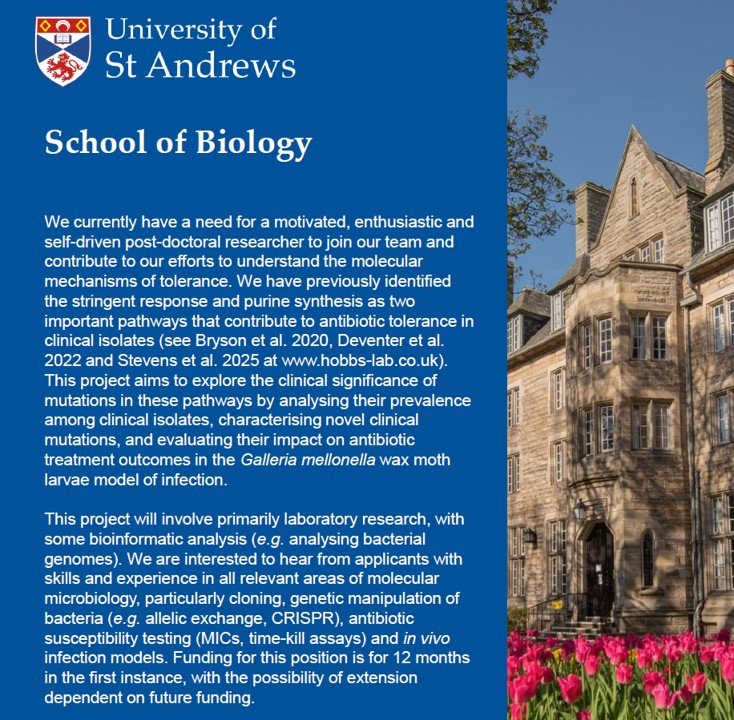 📣 We're hiring! We have a 12-month vacancy for a Postdoctoral Research Fellow with skills in molecular microbiology. See the details and apply here: vacancies.st-andrews.ac.uk/Vacancies/W/43…

Please share!