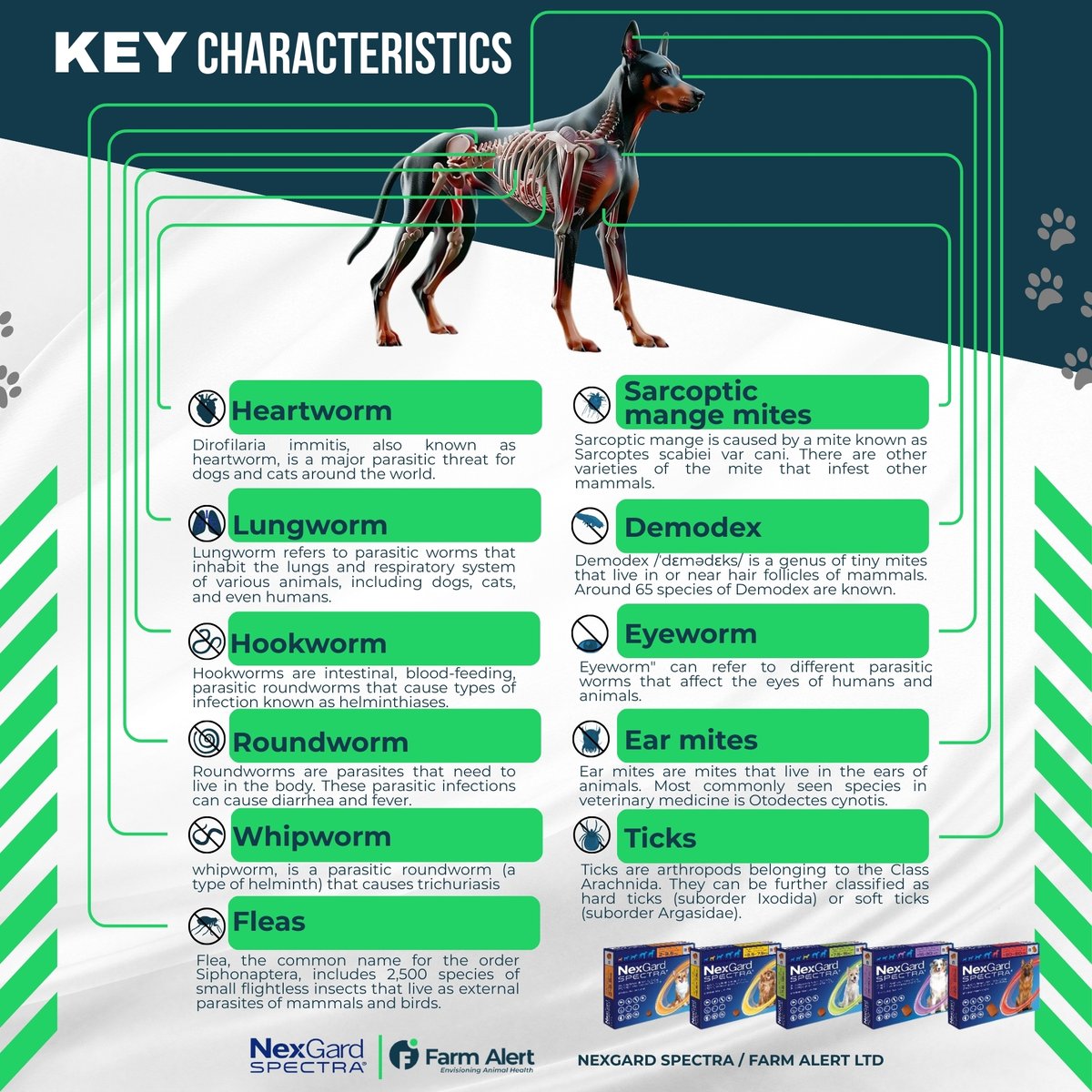 Your pet's  health is paramount! 🐶🐱 This helpful guide from NexGard SPECTRA / Farm  Alert LTD outlines key characteristics of common parasites
