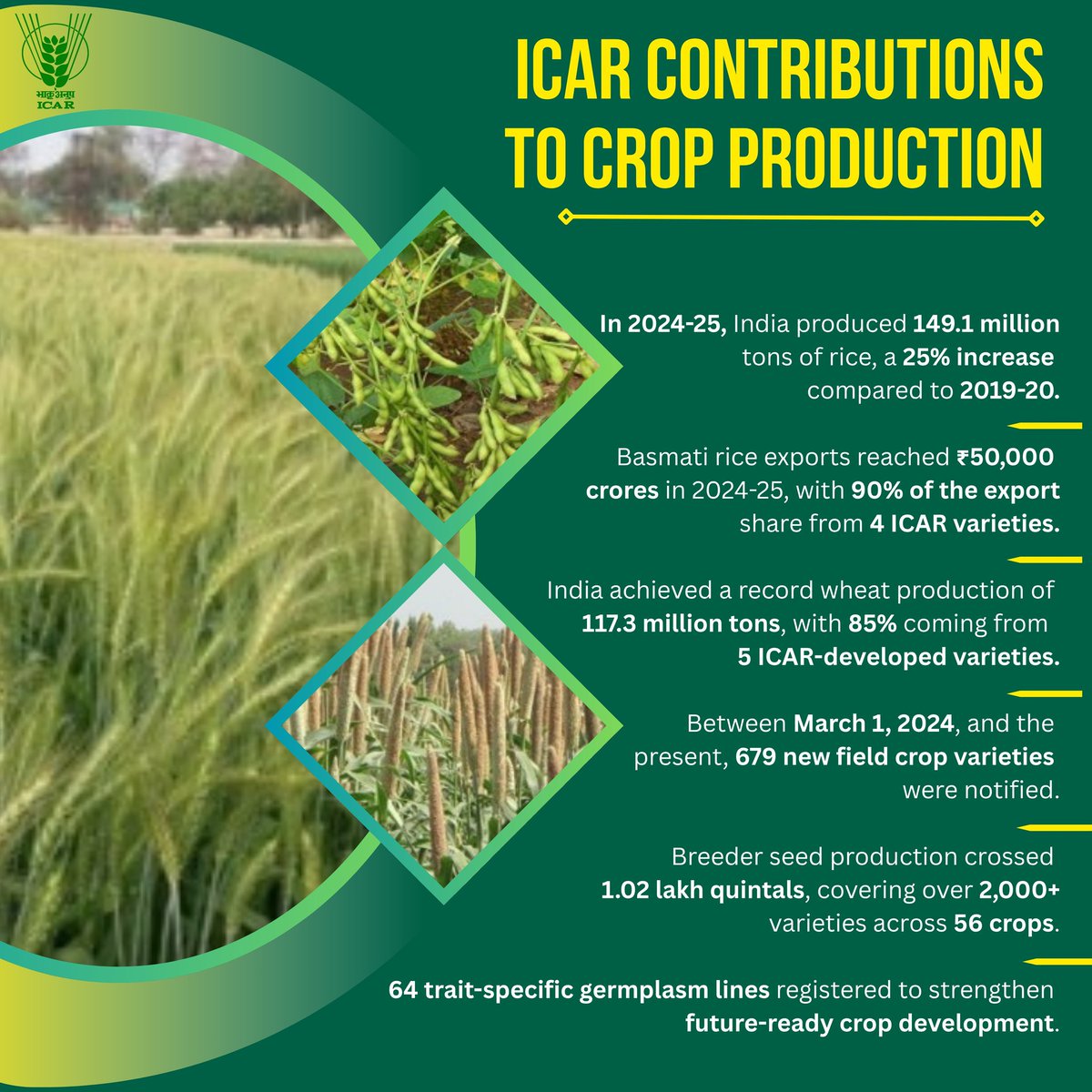Krishi Vigyan Kendra, Pokaran (Jaisalmer-II) (@kvkpokaran) on Twitter photo ICAR Contributions to Crop Production
#OneICAR <a href="/PMOIndia/">PMO India</a> <a href="/ChouhanShivraj/">Shivraj Singh Chouhan</a> <a href="/mpbhagirathbjp/">Bhagirath Choudhary</a> <a href="/PIB_India/">PIB India</a> <a href="/AgriGoI/">Agriculture INDIA</a> <a href="/mygovindia/">MyGovIndia</a> <a href="/ATARIJodhpur/">ICAR-ATARI-II, Jodhpur</a> ICAR Contributions to Crop Production
#OneICAR <a href="/PMOIndia/">PMO India</a> <a href="/ChouhanShivraj/">Shivraj Singh Chouhan</a> <a href="/mpbhagirathbjp/">Bhagirath Choudhary</a> <a href="/PIB_India/">PIB India</a> <a href="/AgriGoI/">Agriculture INDIA</a> <a href="/mygovindia/">MyGovIndia</a> <a href="/ATARIJodhpur/">ICAR-ATARI-II, Jodhpur</a>