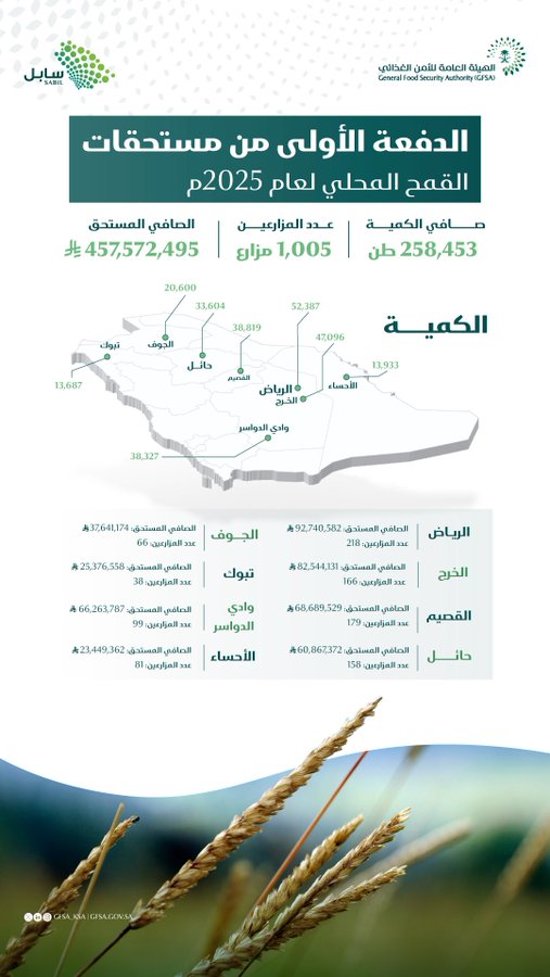 الصورة