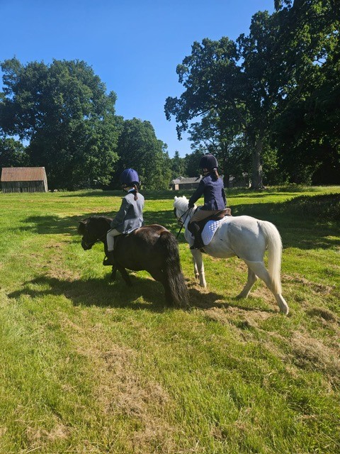dupplinestate's tweet photo. We recently had the pleasure of hosting the pony club camp on the Estate again this year and they had some fantastic weather for it.  Thanks to Strathearn Pony Club for the photos. https://t.co/WQL6WYiORC