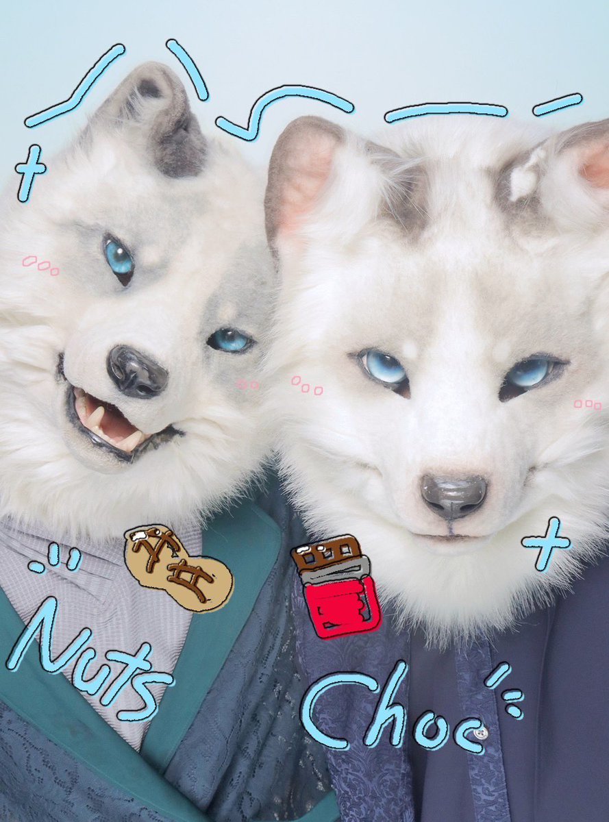 ChocNutsFox's tweet image. #落花生ぱやぱや🥜
#ぱやぱやちょこ 🍫
