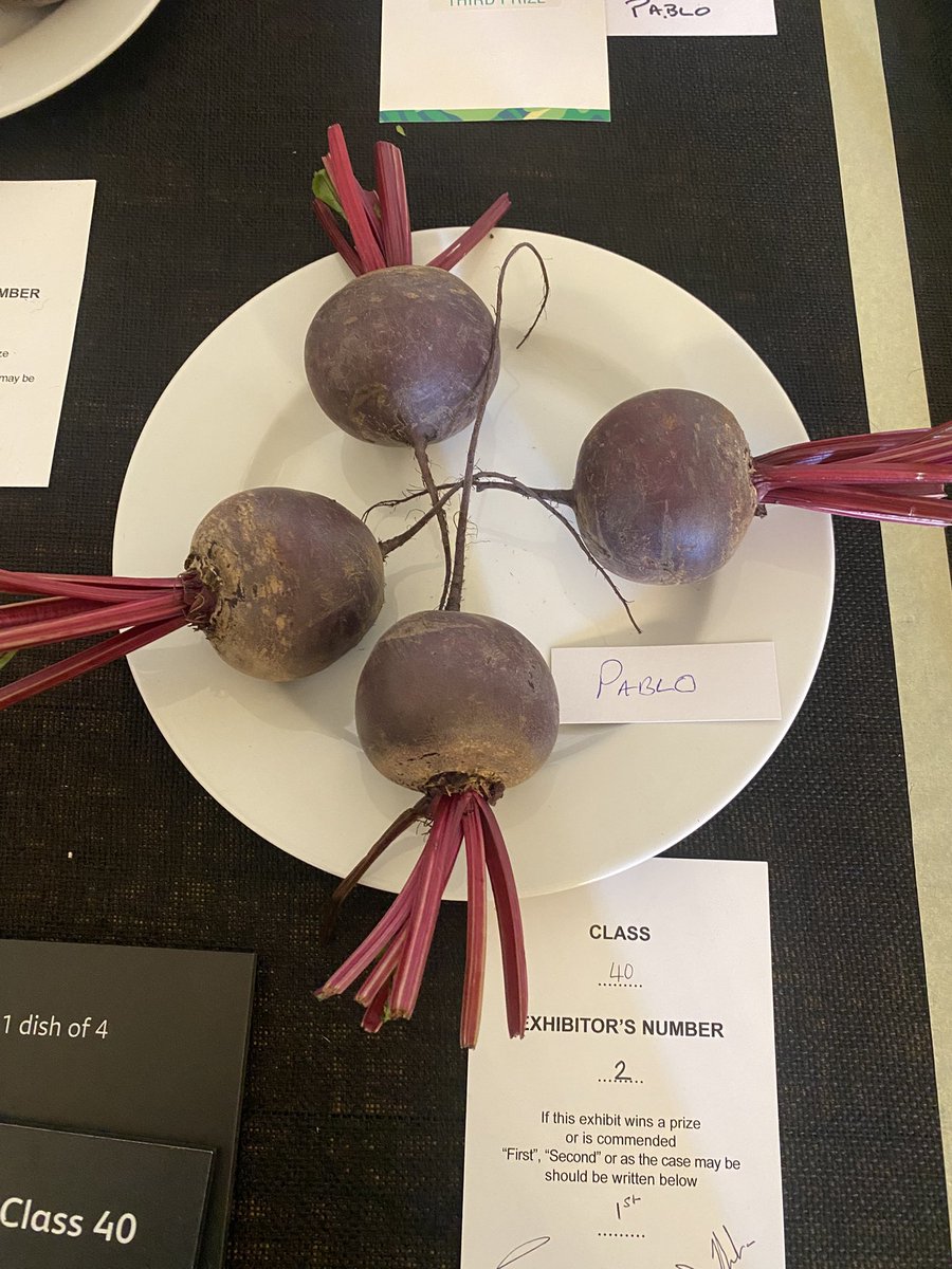 medwynsofangles's tweet image. Two of our varieties were amongst the Red cards. Cauliflower’SV5818’ and beetroot Pablo, a regular winner on the show benches and sweet flavoured.
