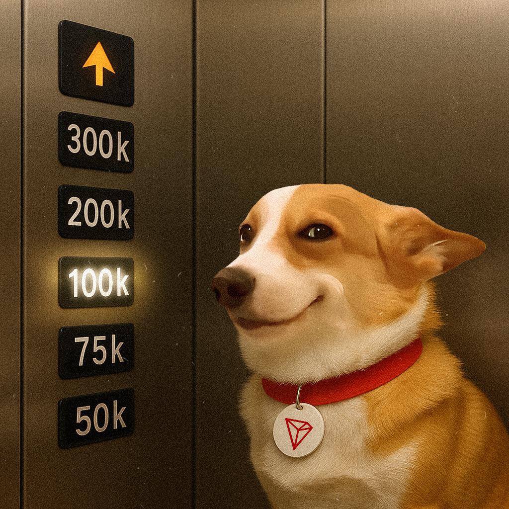 SunDog 🐾 tweet media