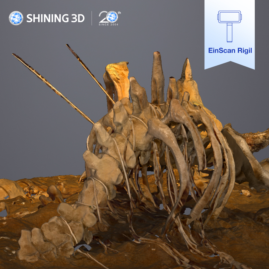 Shining3D's tweet image. EinScan Rigil: High-fidelity texture 3D scanning, even in low-light conditions.
-Scan Resolution: 3mm
-Scanning Mode: IR
-Hybrid Alignment: Feature+Texture
🔗 Check out the scan data:
hubs.ly/Q03xqKYX0
#3DScanning #EinScanRigil #InfraredScan #DigitalArts #SHINING3D