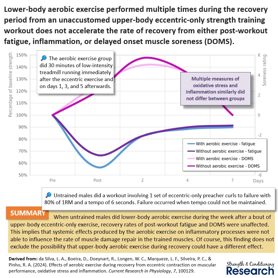 Various theories have been proposed to explain how aerobic exercise might help post-workout recovery during strength training. This study found no beneficial effect of lower-body aerobic exercise after an upper-body strength training workout, which rules out systemic effects.