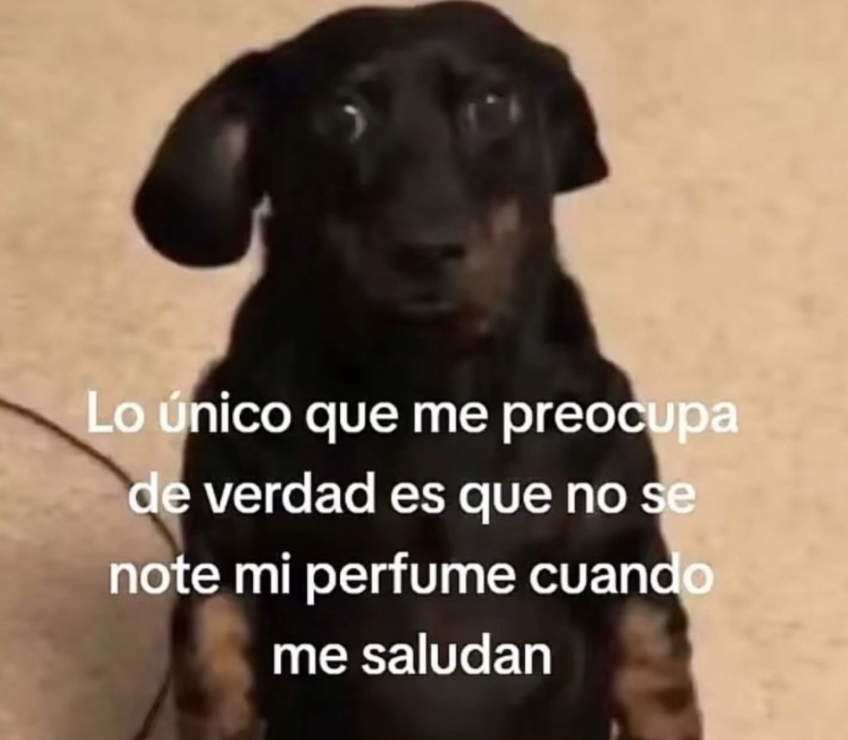 skereunpesado's tweet photo. https://t.co/PCfRfPnqAx
