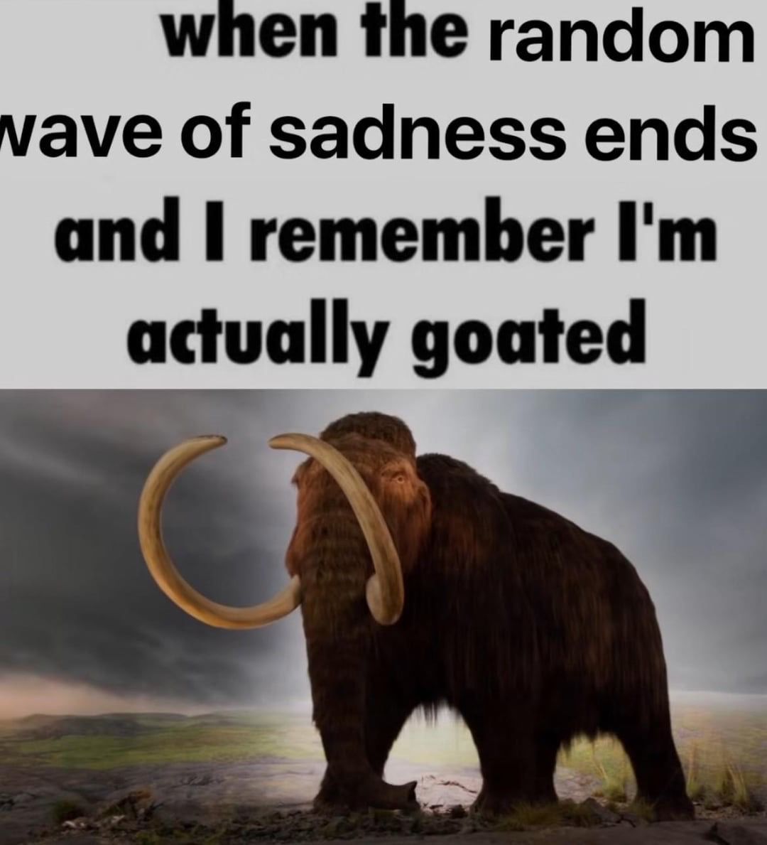 no context memes (@weirddalle) on Twitter photo 