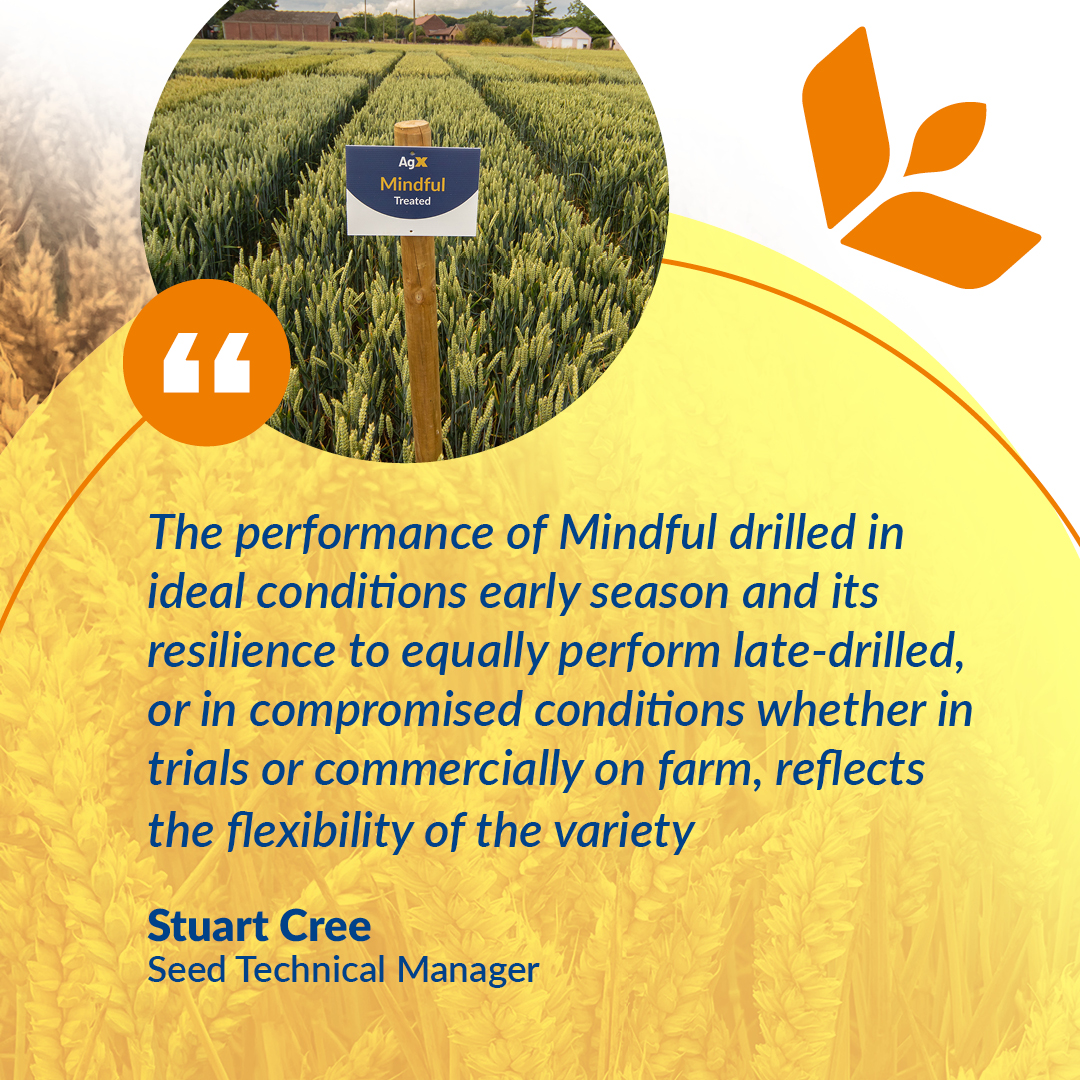 AgrovistaUK's tweet photo. Mindful winter wheat exclusive to Agrovista Seeds, a Group 4 hard feed variety with high specific weight ensuring consistent yields.
For more information 👇 download 🔗 link below:
https://t.co/SE1bJuCp4n
#SeedTheDifference https://t.co/lmNsISkvIr