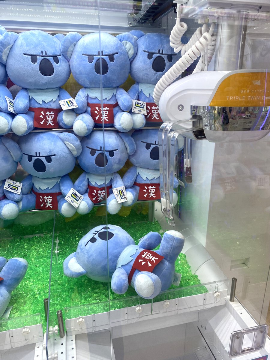 🐨プライズ登場🐨 漢気コアラのぬいぐるみが 全国アミューズメント施設