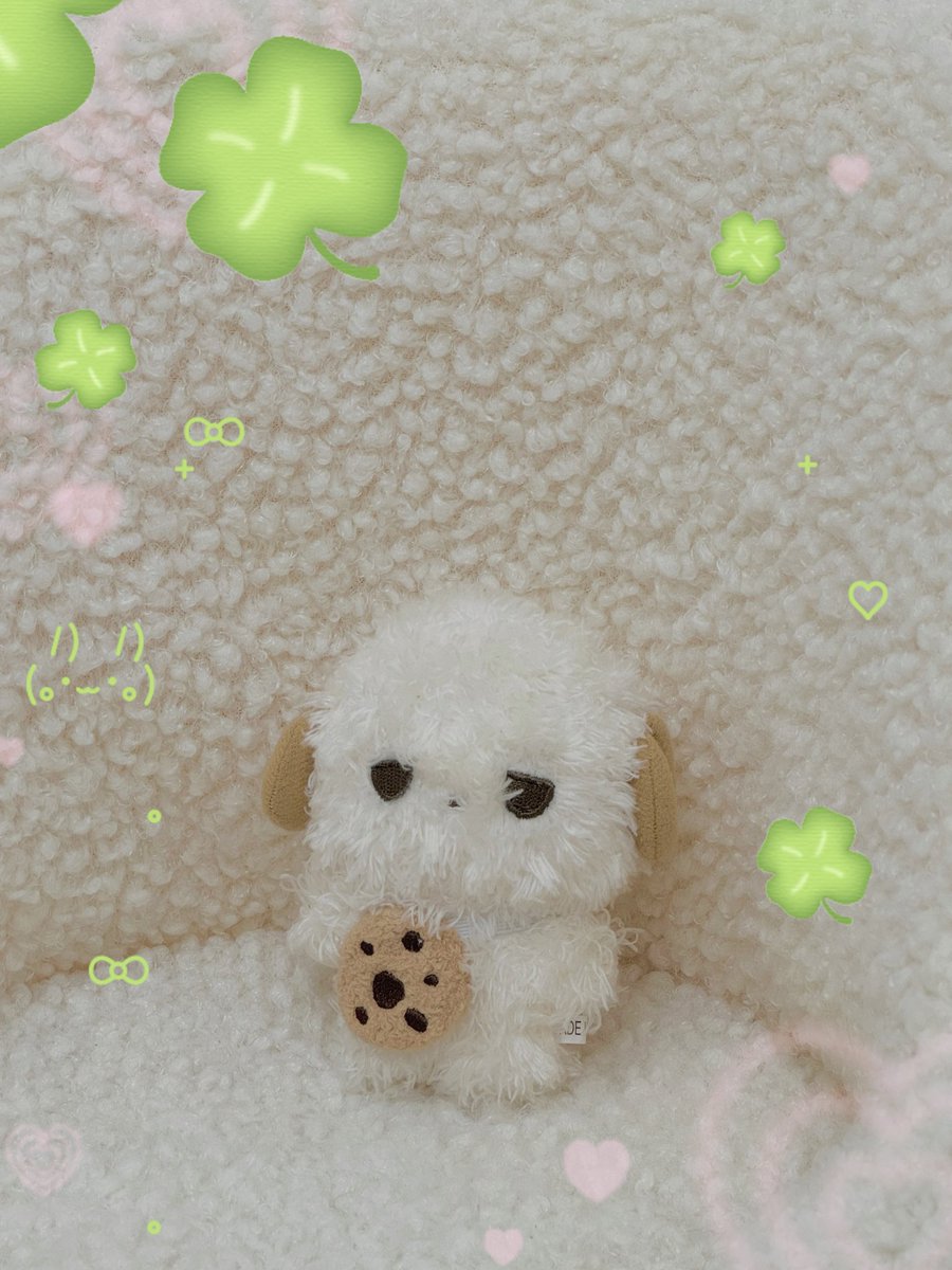˚✧₊⁎ 𝒕𝒐𝒓 ⁎⁺˳✧˚ tweet media