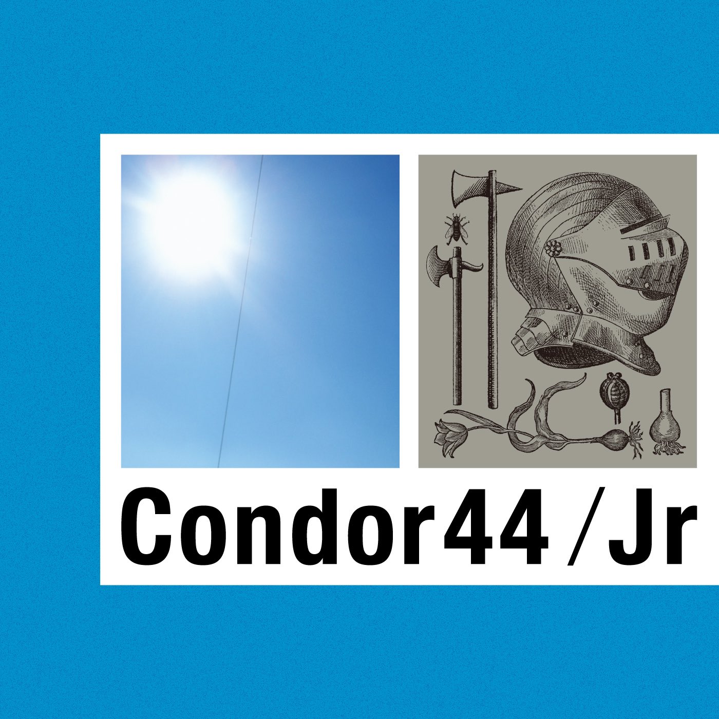 CONDOR44 / 44th music (@condor44_ppp) / X