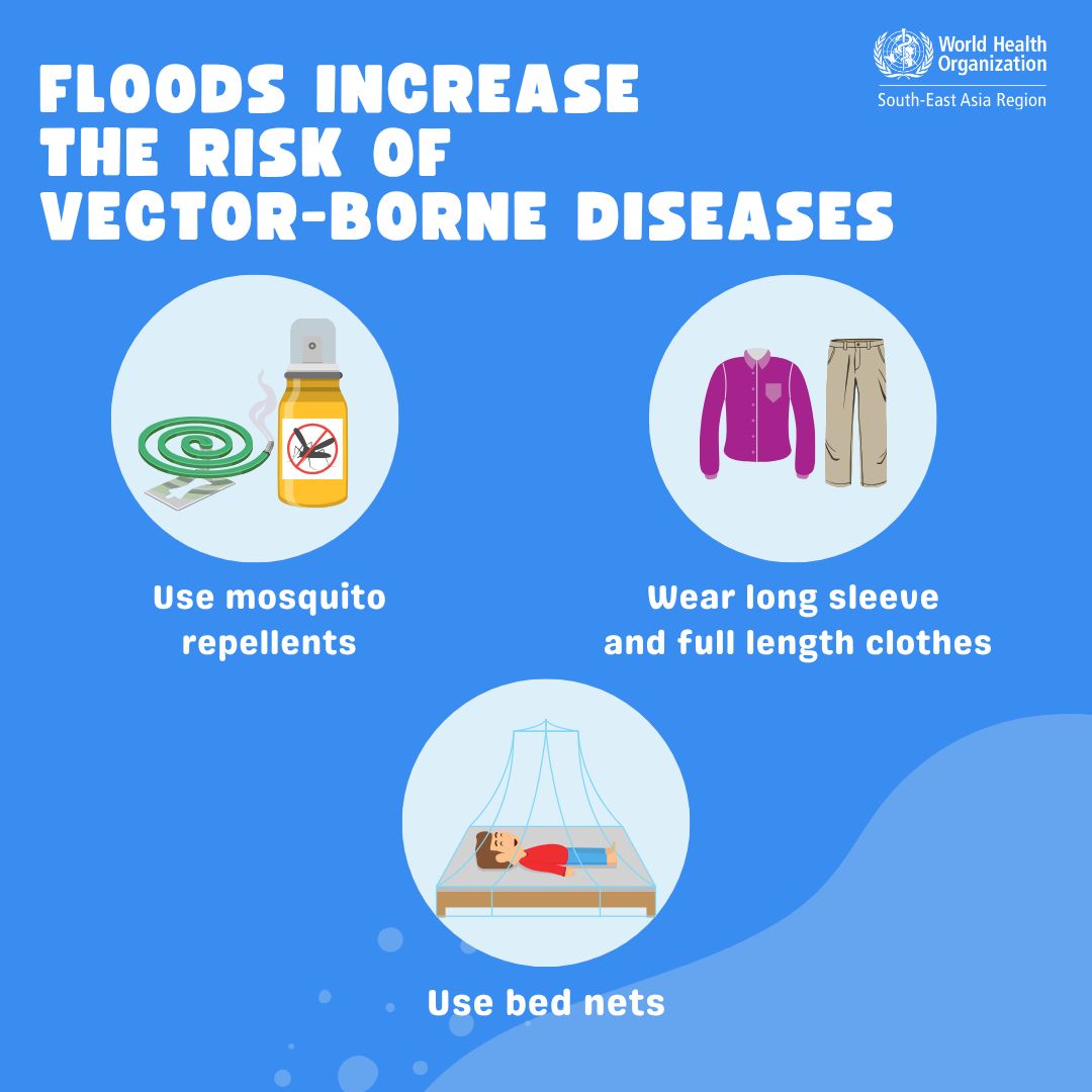 WHOSEARO's tweet image. Is it raining 🌧️ in your area? Take precautions against vector-borne diseases like #dengue, malaria and chikungunya.
Prevent mosquito 🦟 breeding. They can breed even in a small amount of stagnant water.
Protect against mosquito bite
✔️ Use mosquito repellents
✔️ Wear long…