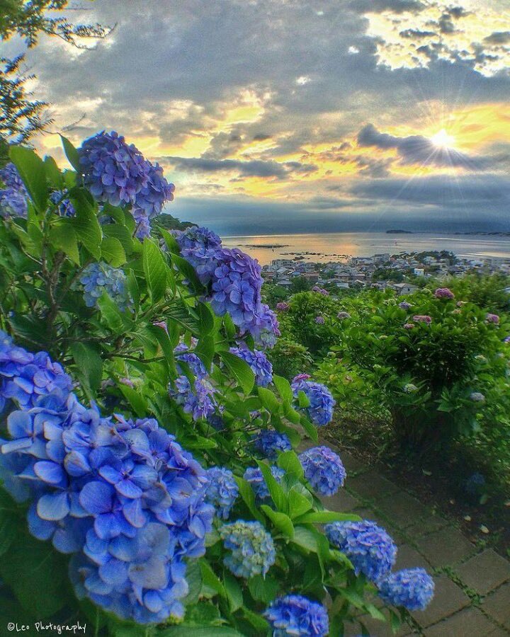 Good morning☀️

Wishing you a wonderful Wednesday🤍