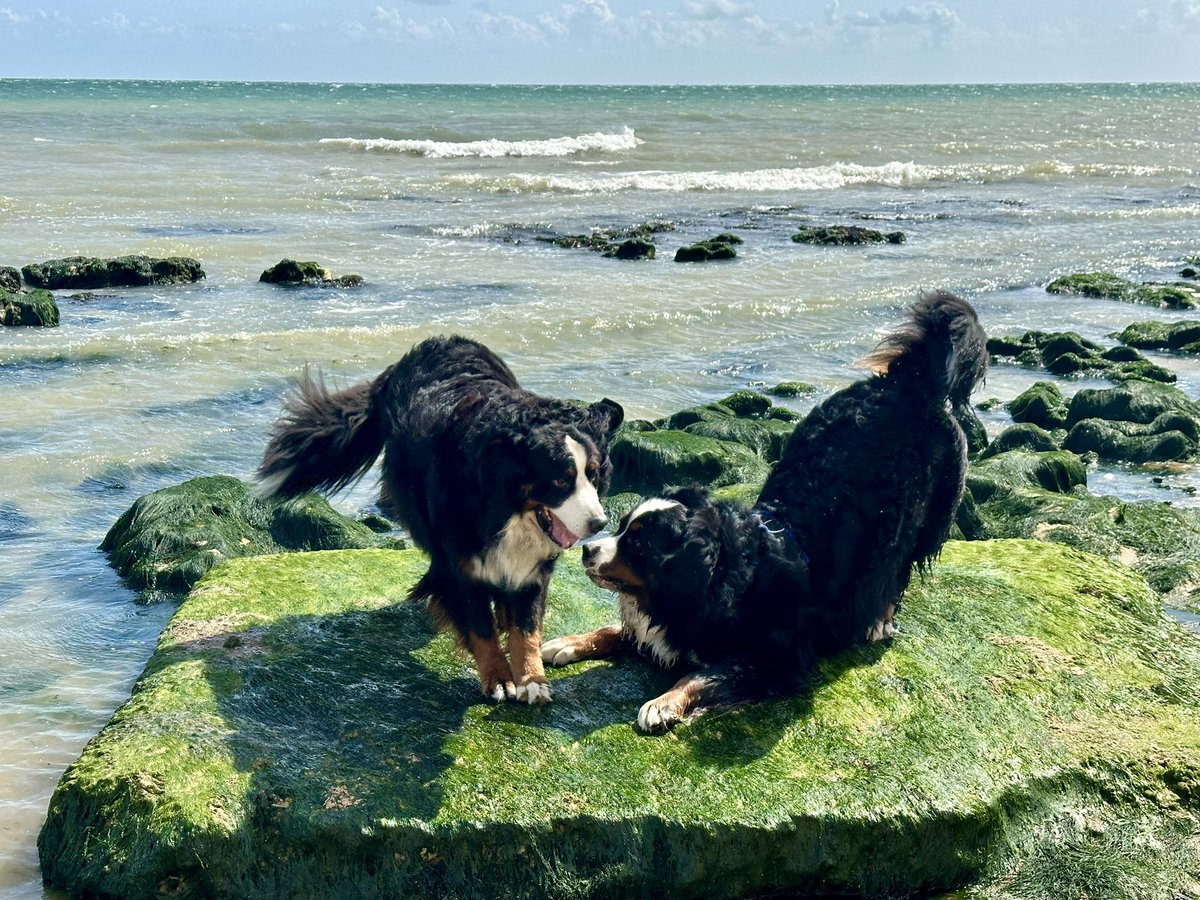 Adrian Flynn tweet media