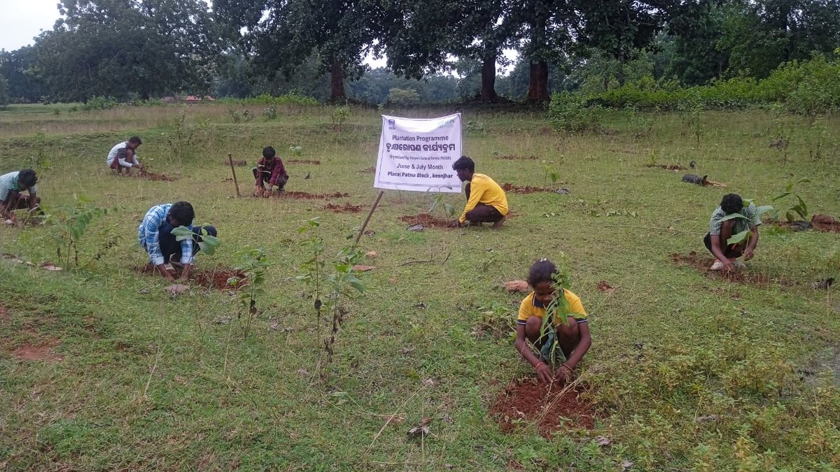 Green patch creation by Ecosavers youth network members to protect environment and next generation #pecuc35years #highlightseveryonefollowers2025 #environmentprotection #savealife #protectlives