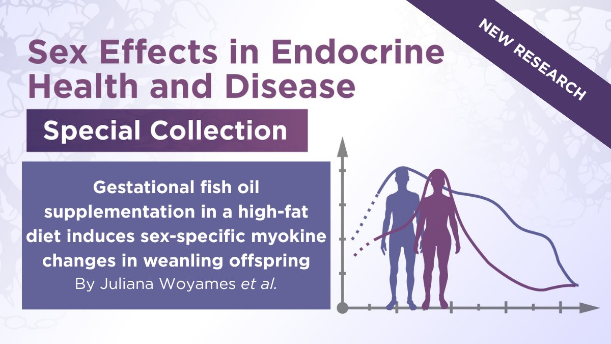 JEndocrinology's tweet image. Juliana Woyames (@IBCCF_UFRJ) et al. explores the link between gestational fish oil supplementation and sex- & muscle-specific alterations in myokine expression in weanling offspring exposed to a maternal high fat diet.
Subscribers can read the article👉doi.org/10.1530/JOE-25…