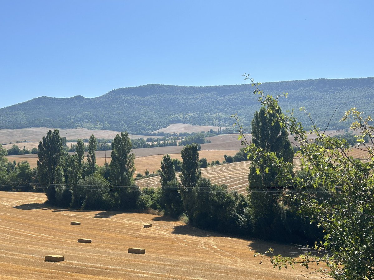 Meteonavarra_'s tweet image. La Cuenca de Pamplona en “modo verano”, precioso está el Valle de Aranguren en su fase canicular. Hoy hemos tenido una mañana “fresca” en la Cuenca de Pamplona con 12-14ºC de temperaturas mínimas, subirá a 32-33ºC previsiblemente, mañana se acercará a 35 y el finde debajo de 25ºC