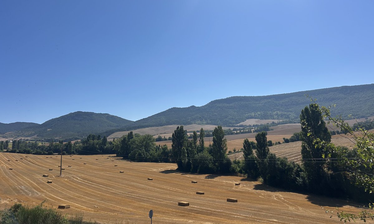 Meteonavarra_'s tweet image. La Cuenca de Pamplona en “modo verano”, precioso está el Valle de Aranguren en su fase canicular. Hoy hemos tenido una mañana “fresca” en la Cuenca de Pamplona con 12-14ºC de temperaturas mínimas, subirá a 32-33ºC previsiblemente, mañana se acercará a 35 y el finde debajo de 25ºC
