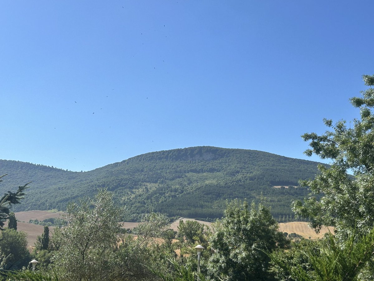 Meteonavarra_'s tweet image. La Cuenca de Pamplona en “modo verano”, precioso está el Valle de Aranguren en su fase canicular. Hoy hemos tenido una mañana “fresca” en la Cuenca de Pamplona con 12-14ºC de temperaturas mínimas, subirá a 32-33ºC previsiblemente, mañana se acercará a 35 y el finde debajo de 25ºC