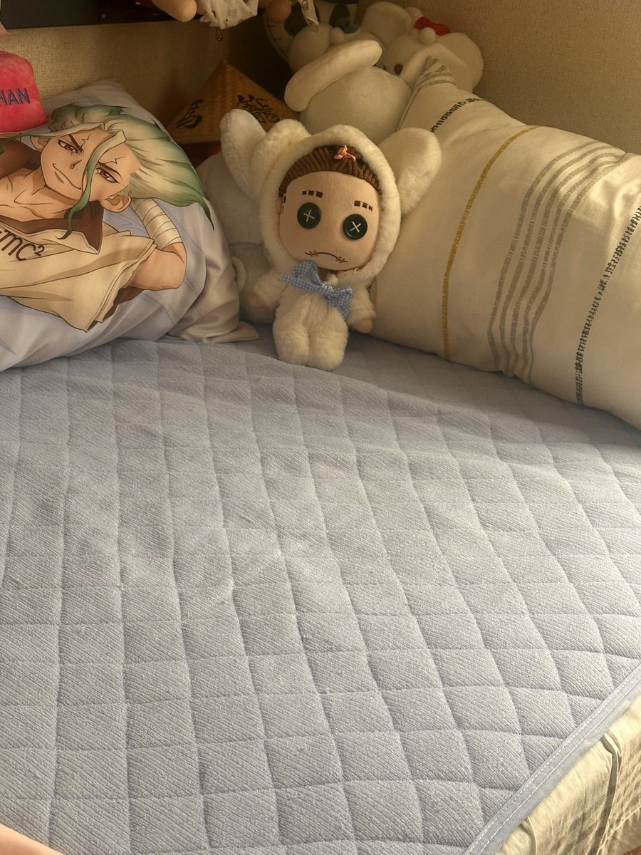 ぶぶづけ🔰 (@bubu_mahha) on Twitter photo 