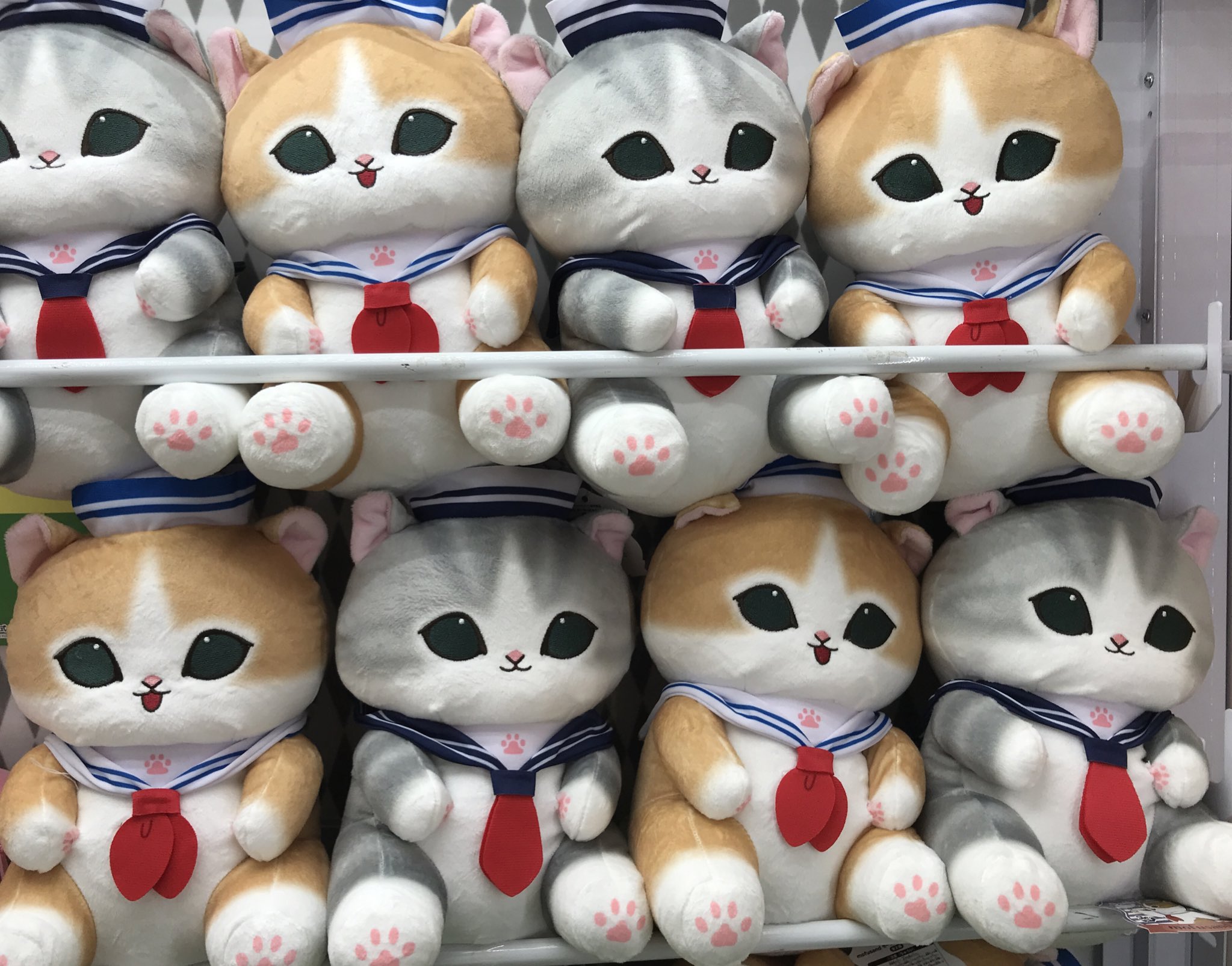 TFSイオンプラザ大島店 on X: 
