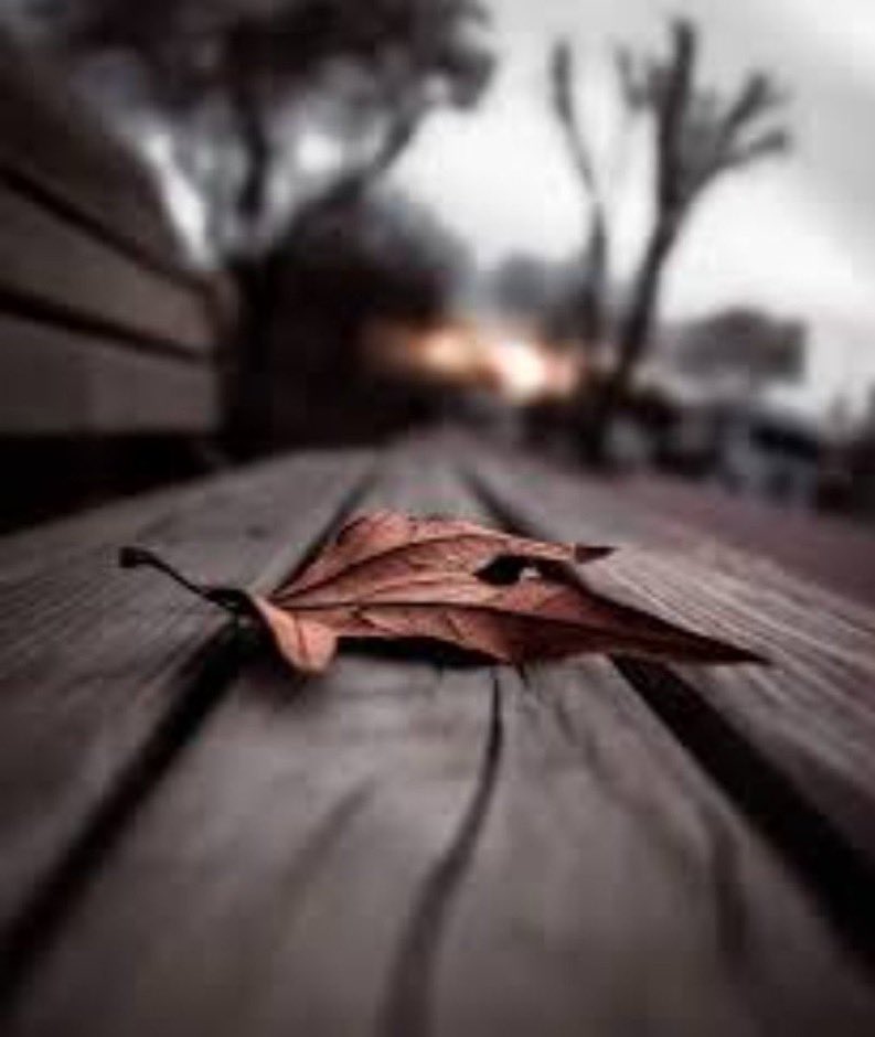 Düşmanın yaptıkları değil, en çok dostların sessizliği yaralar insanı ..
*
Bella..