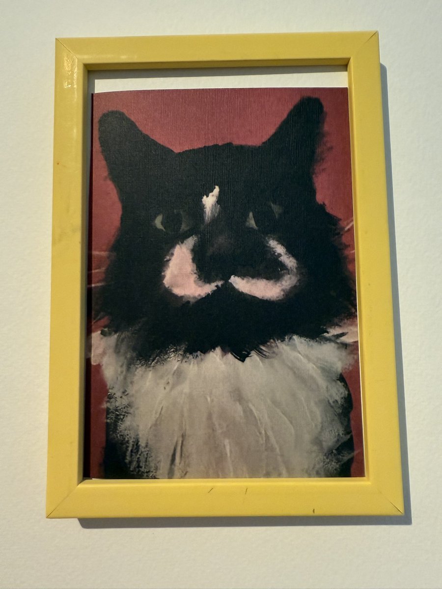 In memory of flash evans I’ve framed some prints of a painting I did of him earlier this year. I’ve listed them to my online shop and will be donating the money to a cat sanctuary. 💖
