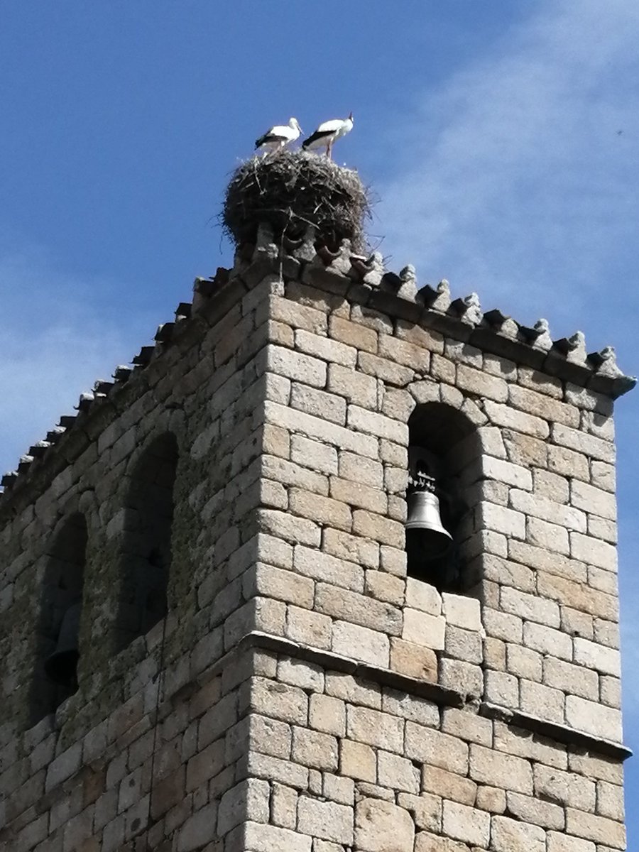 E.J. Gómez Ferreras (@ejogomezferrera) on Twitter photo 