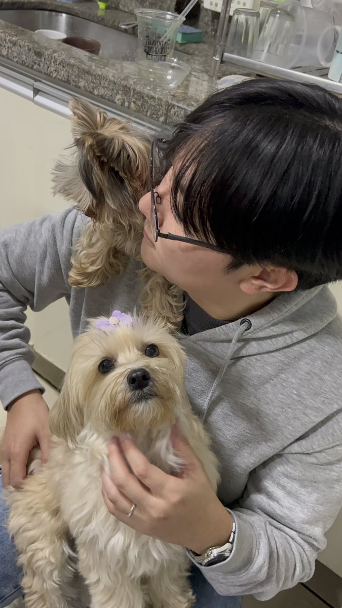 tinysooobin's tweet image. meu amo e nossas filhas