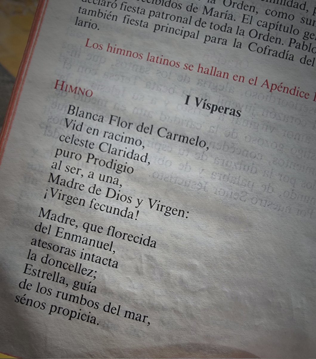 fray_rogelio's tweet photo. SOLEMNE CONMEMORACIÓN DE LA BIENAVENTURADA VIRGEN MARIA DEL MONTE CARMELO.
#carmelitas #ocarm #carmelites https://t.co/qW3ItQwR1B