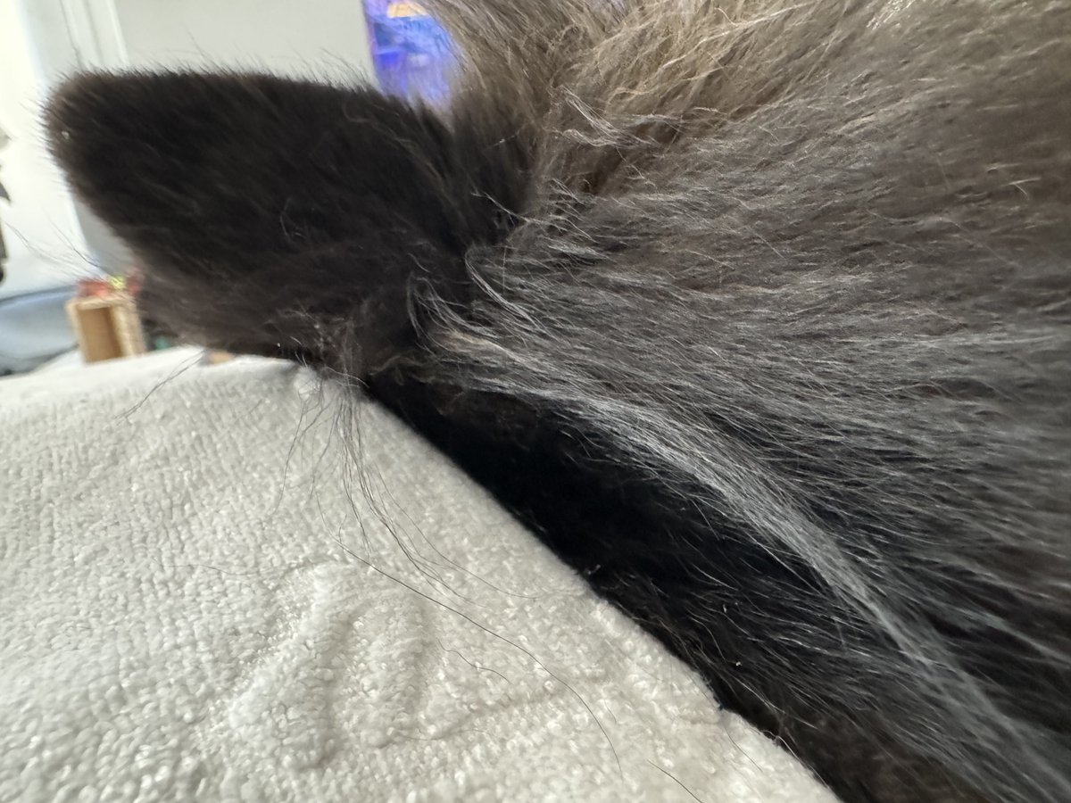 마야 in SJ (@maya_terv) on Twitter photo 