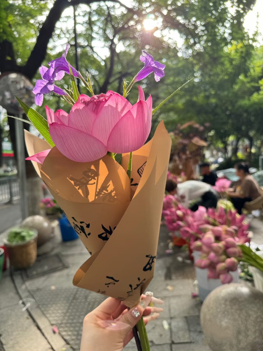 总是被生活的这些小美好打动