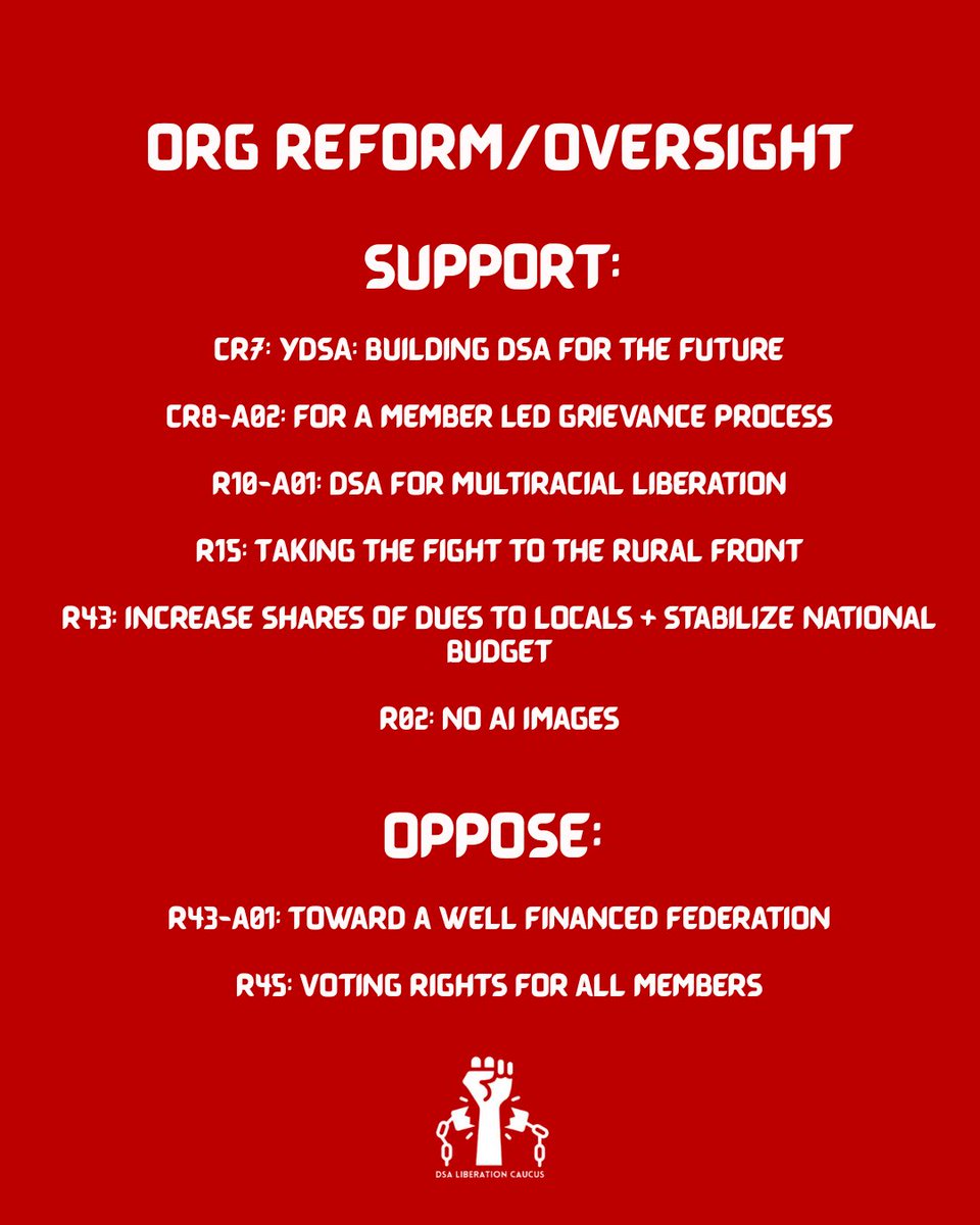 dsaliberation's tweet image. Our guide for the 2025 DSA National convention:
liberationcaucus.org/the-long-march…