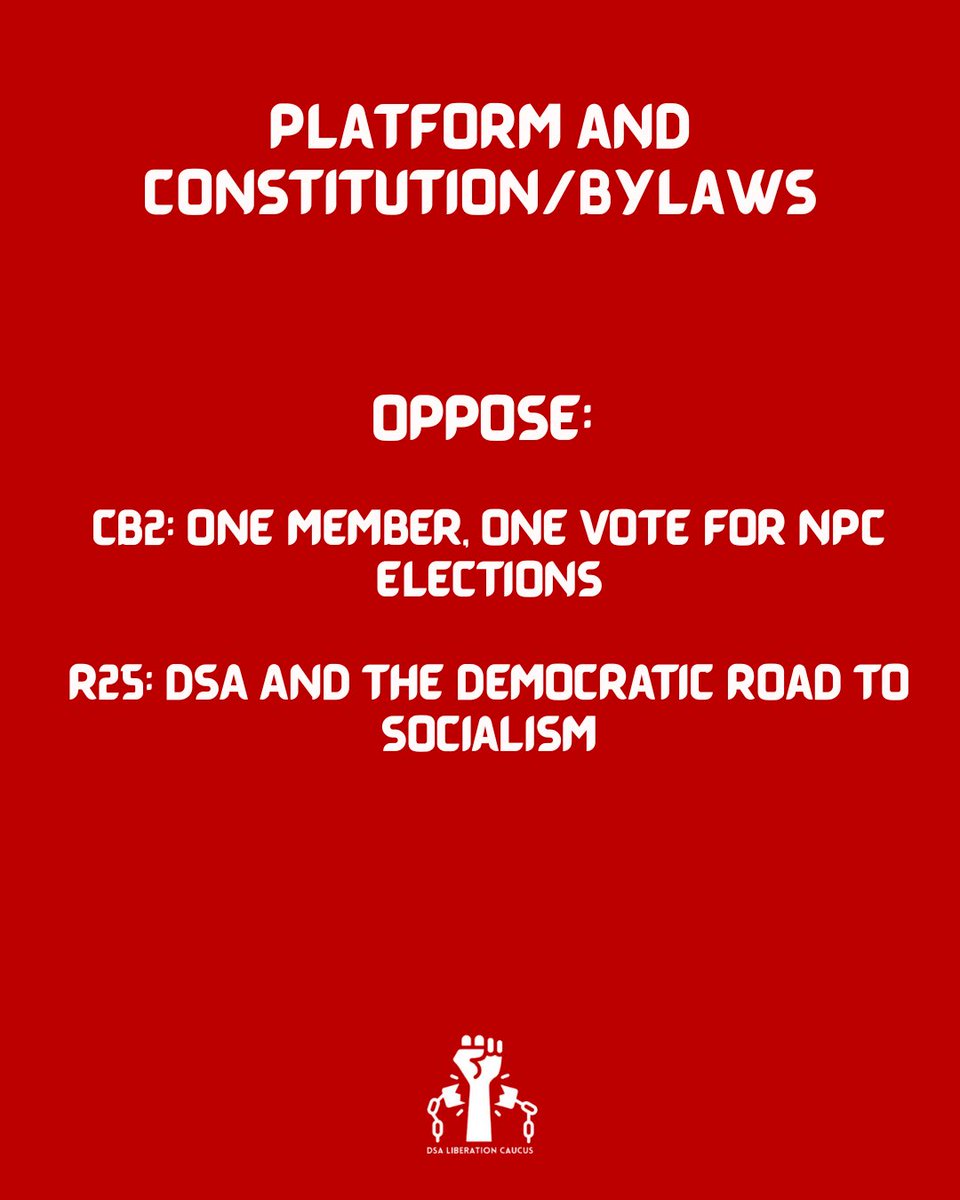 dsaliberation's tweet image. Our guide for the 2025 DSA National convention:
liberationcaucus.org/the-long-march…