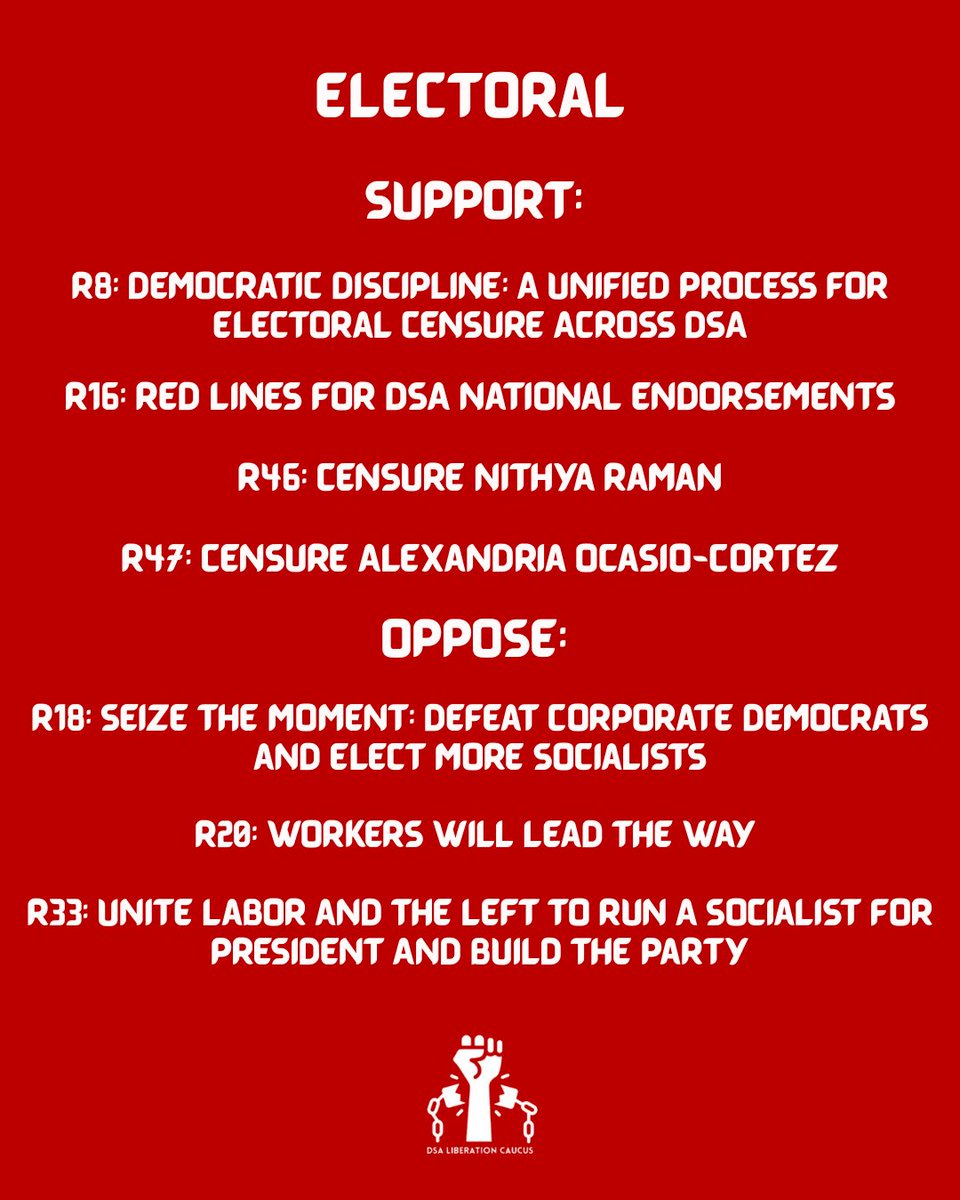 dsaliberation's tweet image. Our guide for the 2025 DSA National convention:
liberationcaucus.org/the-long-march…