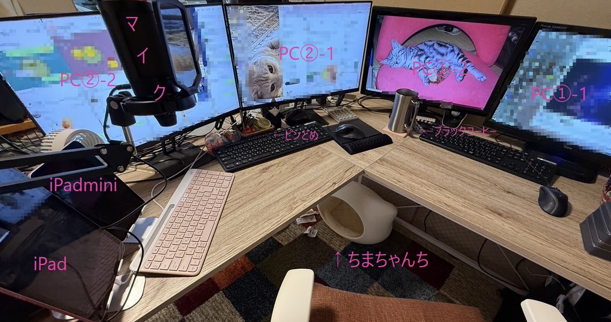 ちまき (@chimaki_o_o) / Posts / X