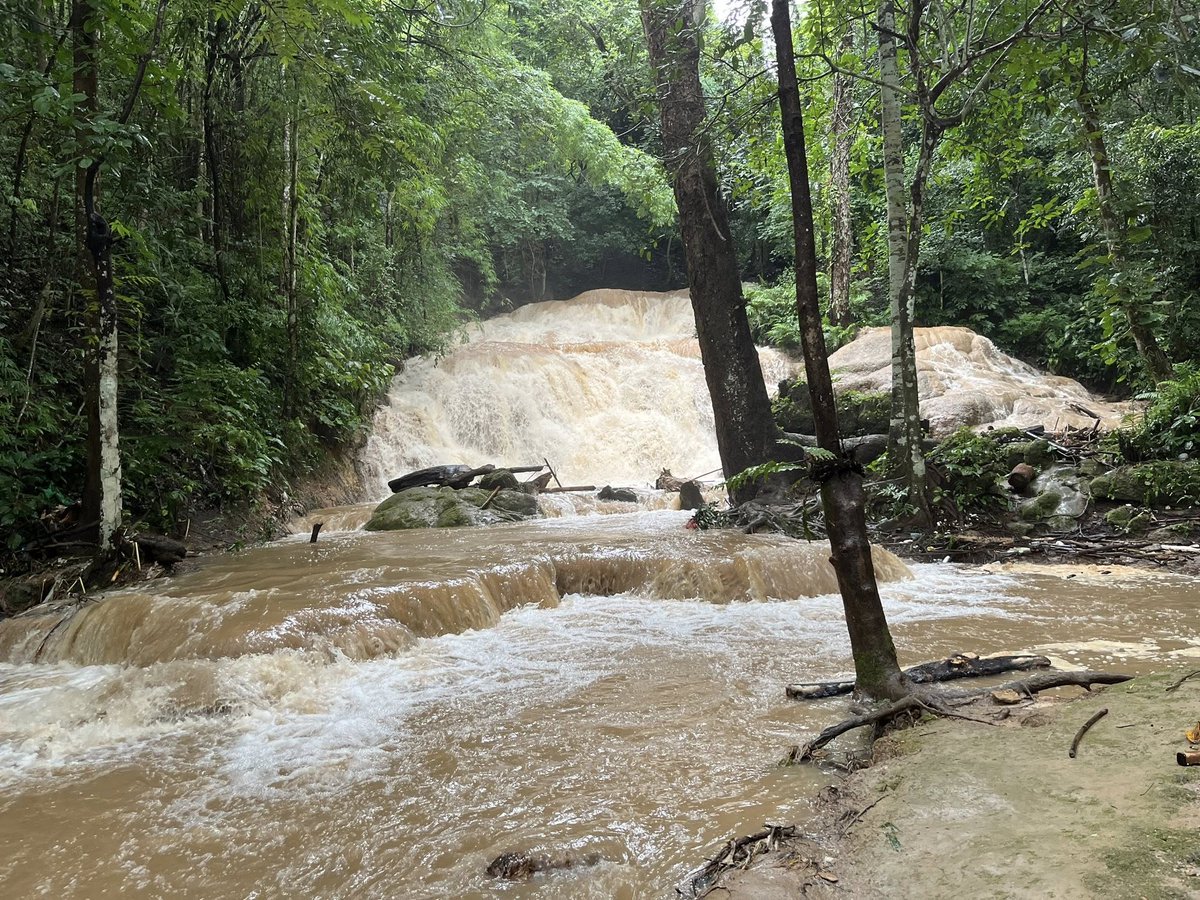 js100radio's tweet image. เนื่องจากมีฝนตกติดต่อกันหลายวัน ทำให้น้ำตกศรีสังวาลย์และบ่อแช่น้ำร้อนโป่งอาง  จ.เชียงใหม่ มีน้ำขุ่น กระแสน้ำที่ไหลแรง 

จึงงดให้ลงเล่นน้ำและแช่บ่อน้ำร้อน(ชั่วคราว) นักท่องเที่ยวยังสามารถเข้าเยี่ยมชมบรรยากาศภายในแหล่งท่องเที่ยวดังกล่าวได้ตามปกติ 

ปริมาณน้ำฝน 
ที่ทำการอุทยานฯ  113…