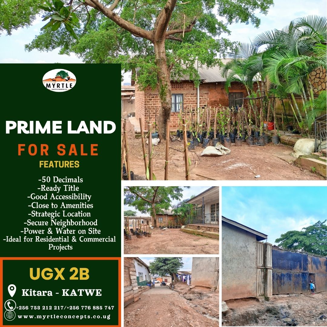 myrtle_concepts's tweet image. Prime Land for Sale in Kitara - Katwe , at UGX 2B! Explore the potential with this strategically located plot, Ideal for commercial, residential, or mixed-use development. Call/WhatsApp: 0753212217/0776885747 to book a tour today!  #MCPUG #Landforsale #RealEstateAdvisorOfChoice.