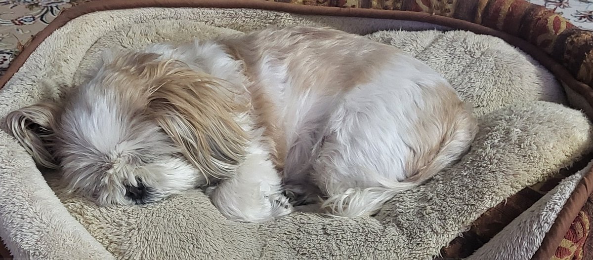 ✏️리나라온🌱 tweet media