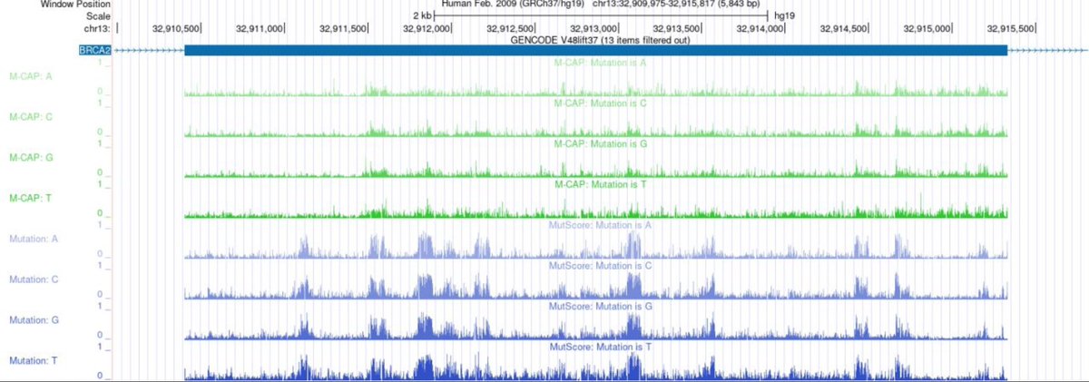 FranMartinezGr's tweet image. New UCSC track release!!! Two new pathogenicity prediction score tracks available in the Deleteriousness Predictions super track: M-CAP and MutScore.  #RareDisease #Genetics #UCSC genome.ucsc.edu/goldenPath/new…