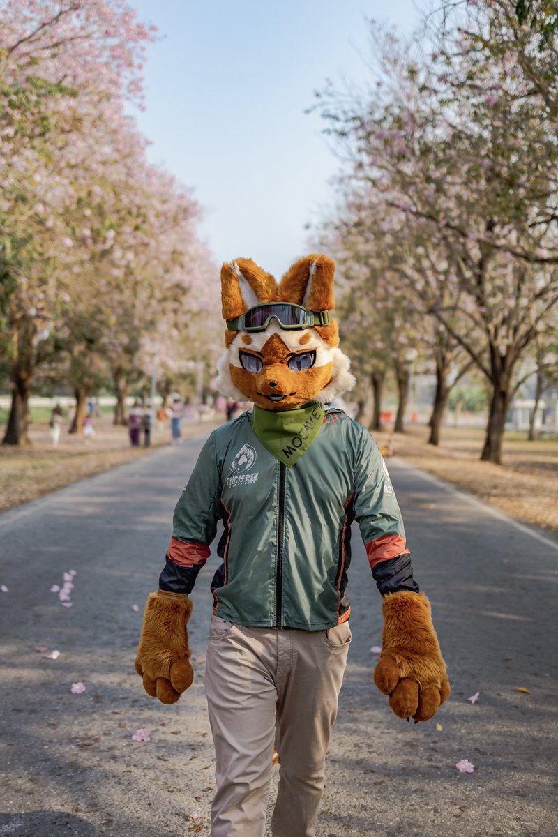 UTFG is coming up this weekend 🐾 
See you guys in Taiwan soon! ✈️ 🇹🇼 

🧥: <a href="/Redscaleranger/">Red Scale Rangers 赤鱗先鋒 UTFG2025</a> 
📸: <a href="/meakdam/">Kumo</a> 

#Furry #Fursuit #FursuitEveryday