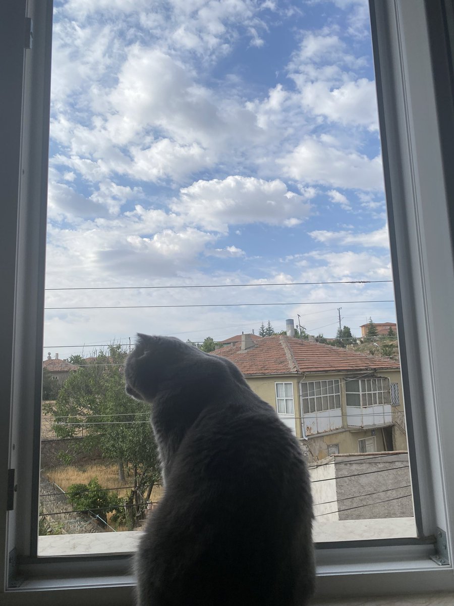 Oğluşum sen manzaradan daha güzelsin.. 🩶