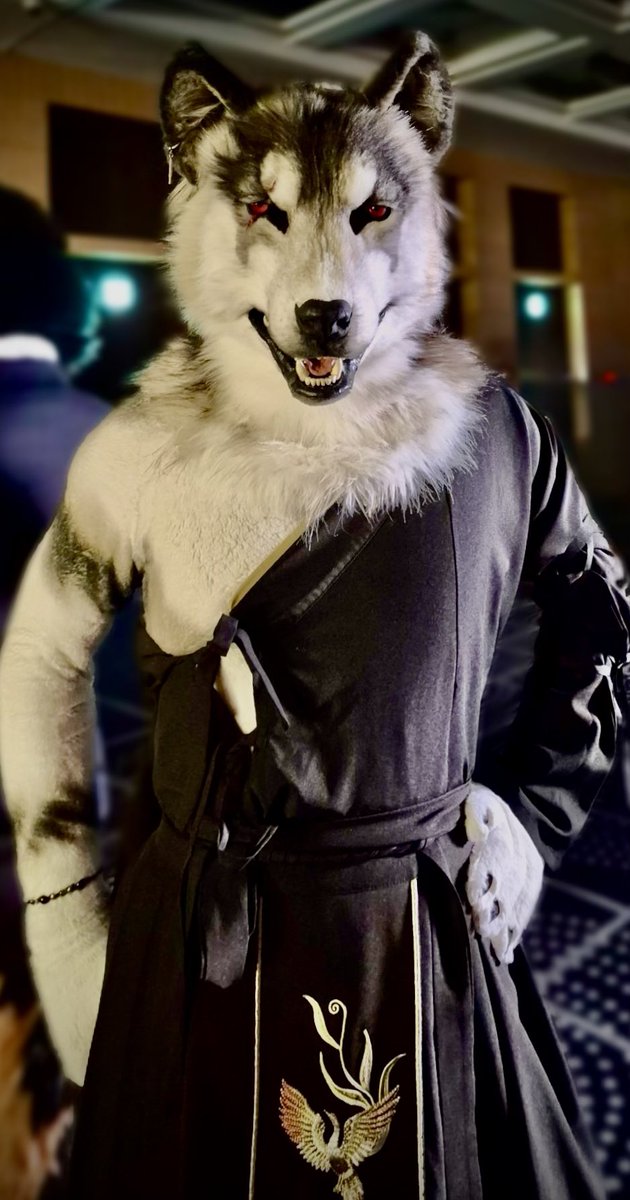 G4KUZA's tweet image. 片肌脱ぎ牙吼座
#FURSTCLASS