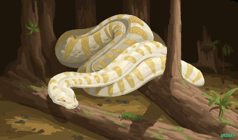 Happy World Snake Day!

Here's an Albino Titanoboa~

#WorldSnakeDay #Titanoboa