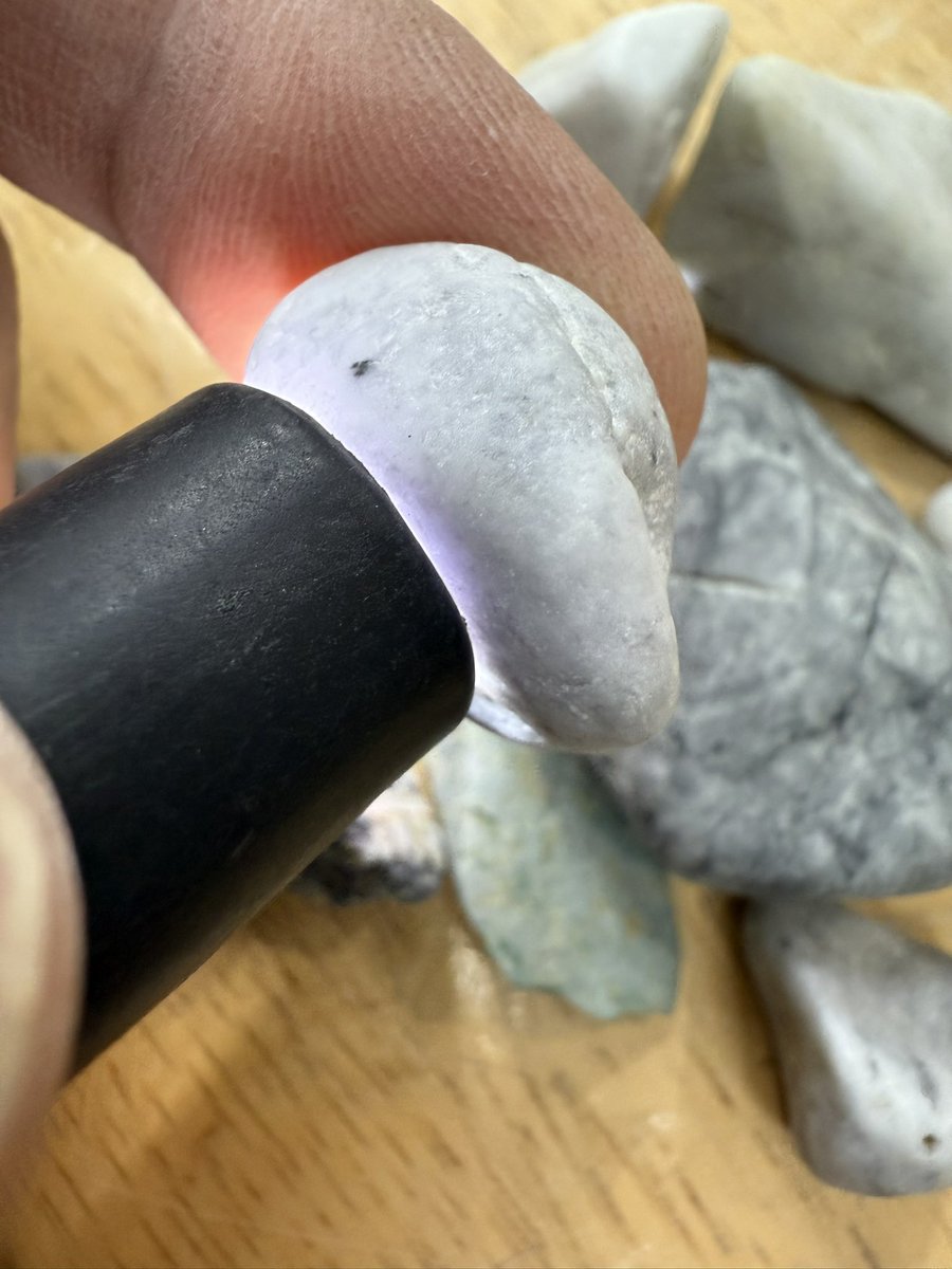 お客さんがゲット‼️その2 ファミリーハンターさん😁😁まだ沢山ある