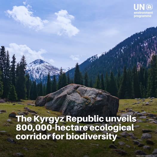 UNEP_Europe's tweet image. Looking for your good news of the day?🌱
With support from @UNEP, the Kyrgyz Republic🇰🇬 in May established an 800,000-hectare ecological corridor, connecting vital habitats & protecting vulnerable species in Central Asia.
A major win for #nature! 🐾🌍
unep.org/news-and-stori…