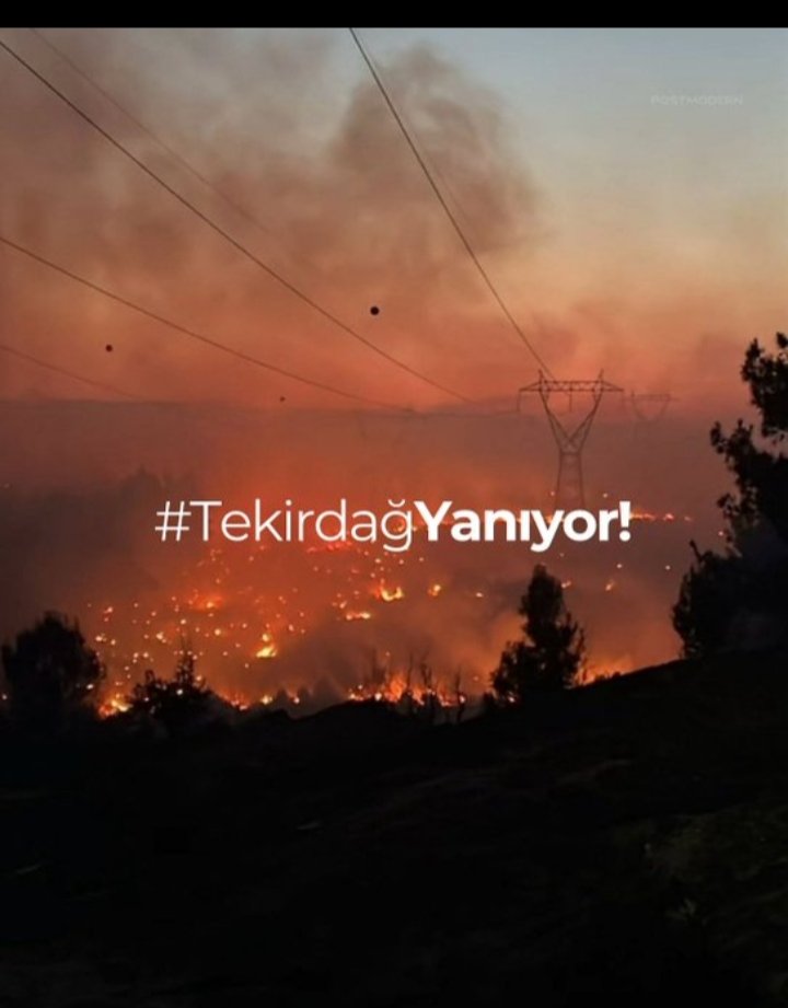 Sebep olanlar yanınıza kalmasın 😠😠
#ŞarköyYanıyor 🥺