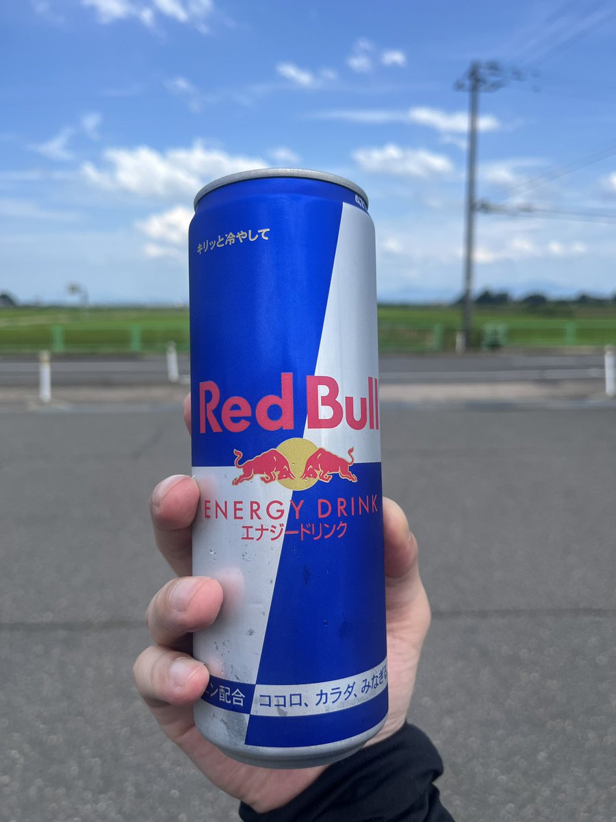 でかいレッドブル