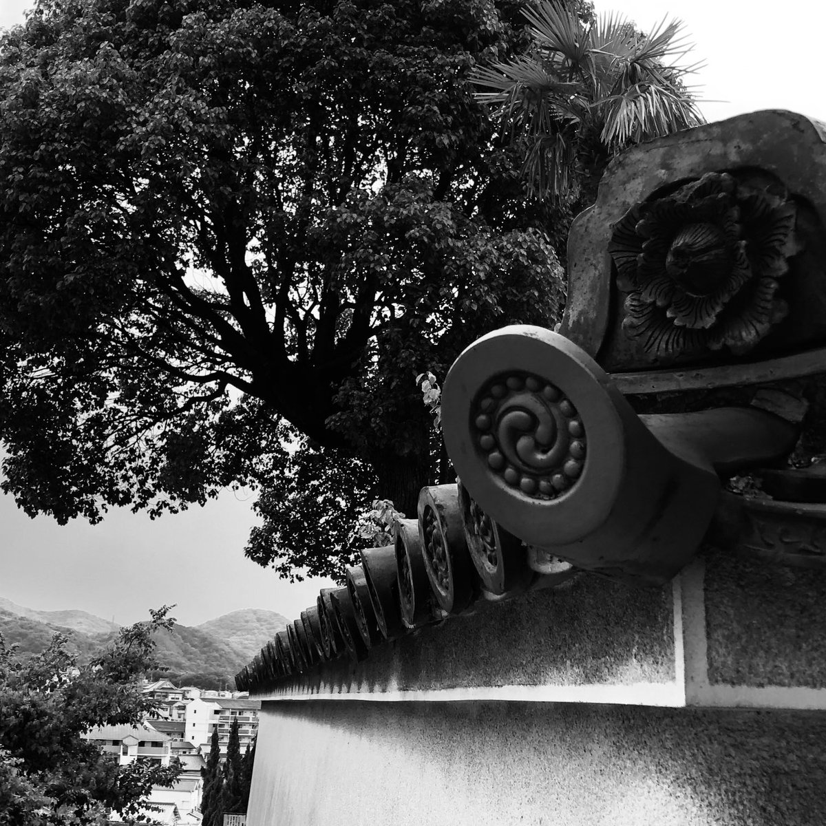 tarosuke0423's tweet image. 散歩。
